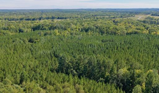 Photo #82 of 1170 Shelton Road, South Boston, VA 637.0 acres