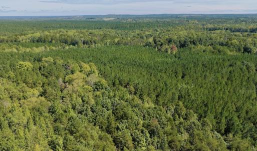 Photo #83 of 1170 Shelton Road, South Boston, VA 637.0 acres