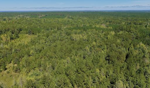 Photo #84 of 1170 Shelton Road, South Boston, VA 637.0 acres