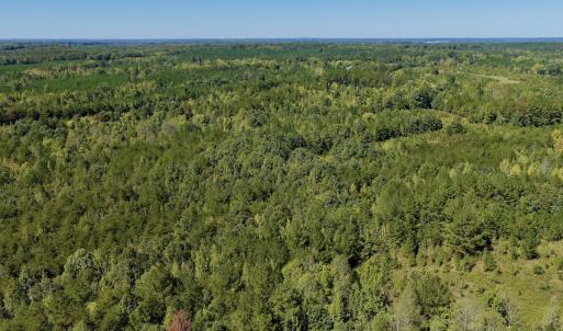 Photo #85 of 1170 Shelton Road, South Boston, VA 637.0 acres