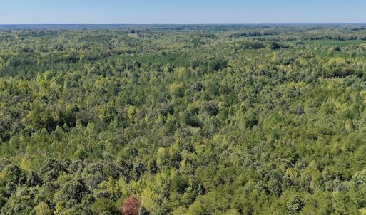 Photo #86 of 1170 Shelton Road, South Boston, VA 637.0 acres