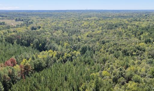 Photo #87 of 1170 Shelton Road, South Boston, VA 637.0 acres