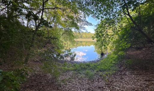 Photo #31 of 15157 Hilltop Lane, Smithfield, VA 20.2 acres