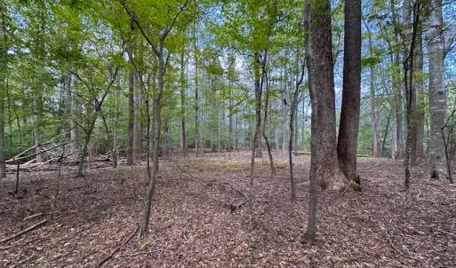 Photo #34 of 15157 Hilltop Lane, Smithfield, VA 20.2 acres