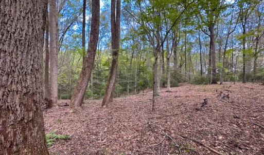 Photo #35 of 15157 Hilltop Lane, Smithfield, VA 20.2 acres