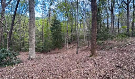 Photo #36 of 15157 Hilltop Lane, Smithfield, VA 20.2 acres