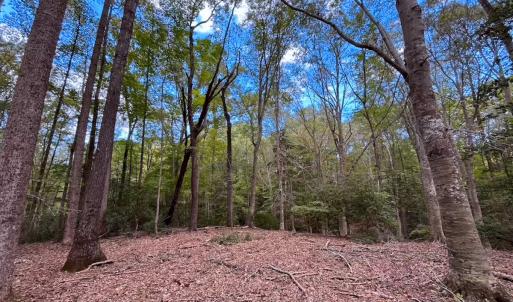 Photo #37 of 15157 Hilltop Lane, Smithfield, VA 20.2 acres