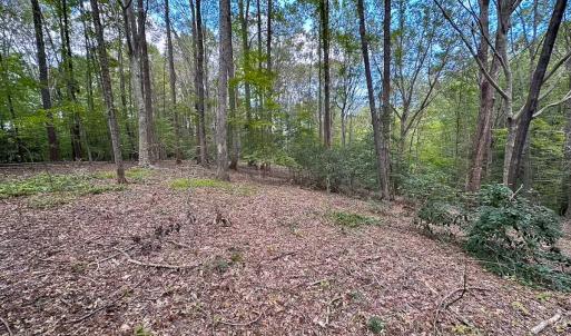 Photo #38 of 15157 Hilltop Lane, Smithfield, VA 20.2 acres