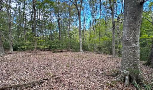 Photo #39 of 15157 Hilltop Lane, Smithfield, VA 20.2 acres