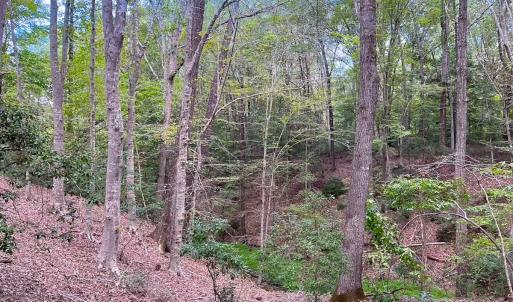 Photo #40 of 15157 Hilltop Lane, Smithfield, VA 20.2 acres