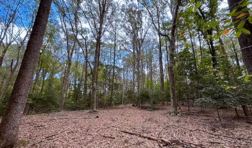 Photo #42 of 15157 Hilltop Lane, Smithfield, VA 20.2 acres