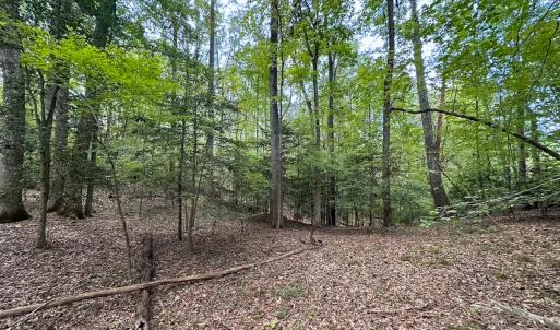 Photo #43 of 15157 Hilltop Lane, Smithfield, VA 20.2 acres