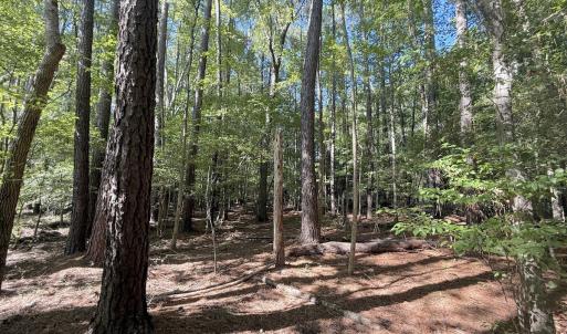 Photo #13 of 1012 S Halifax Rd, Rocky Mount, NC 20.0 acres