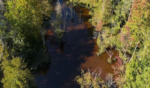 Photo #15 of 1012 S Halifax Rd, Rocky Mount, NC 20.0 acres