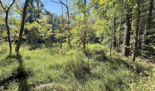 Photo #16 of 1012 S Halifax Rd, Rocky Mount, NC 20.0 acres