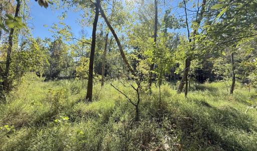 Photo #18 of 1012 S Halifax Rd, Rocky Mount, NC 20.0 acres