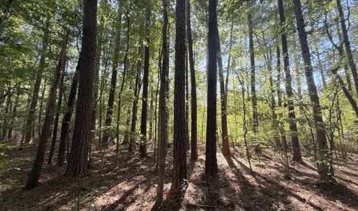 Photo #7 of 1012 S Halifax Rd, Rocky Mount, NC 20.0 acres
