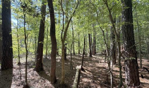 Photo #22 of 1012 S Halifax Rd, Rocky Mount, NC 20.0 acres