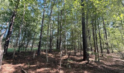 Photo #24 of 1012 S Halifax Rd, Rocky Mount, NC 20.0 acres