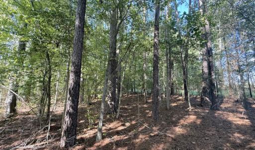 Photo #26 of 1012 S Halifax Rd, Rocky Mount, NC 20.0 acres