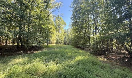 Photo #31 of 1012 S Halifax Rd, Rocky Mount, NC 20.0 acres
