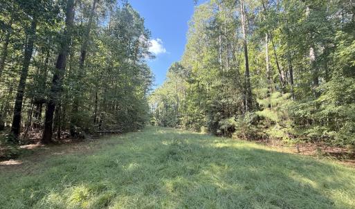 Photo #32 of 1012 S Halifax Rd, Rocky Mount, NC 20.0 acres