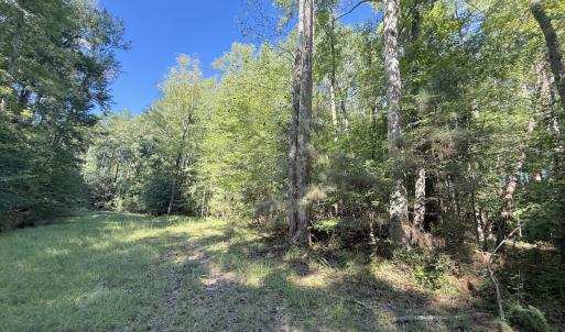 Photo #33 of 1012 S Halifax Rd, Rocky Mount, NC 20.0 acres