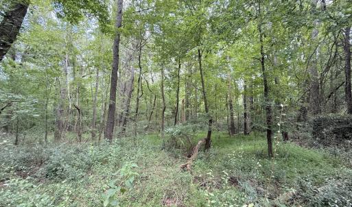 Photo #12 of Off of Laurel Ridge Road, Durham, NC 0.9 acres