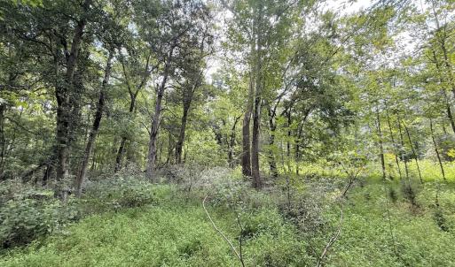 Photo #15 of Off of Laurel Ridge Road, Durham, NC 0.9 acres
