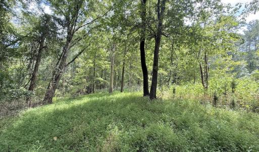 Photo #16 of Off of Laurel Ridge Road, Durham, NC 0.9 acres