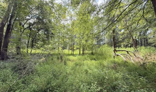 Photo #17 of Off of Laurel Ridge Road, Durham, NC 0.9 acres