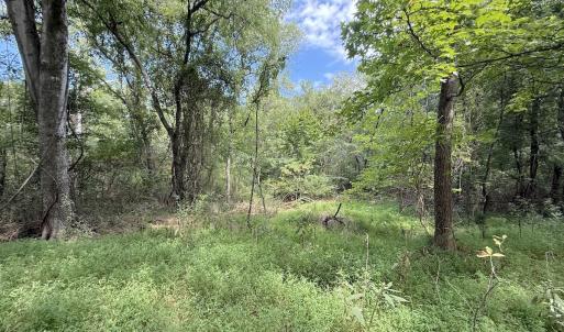 Photo #20 of Off of Laurel Ridge Road, Durham, NC 0.9 acres