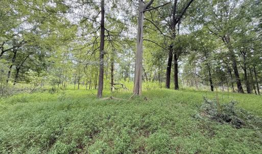 Photo #21 of Off of Laurel Ridge Road, Durham, NC 0.9 acres