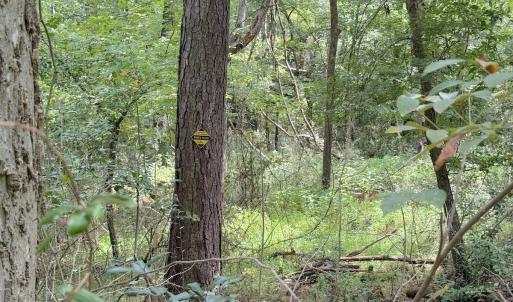 Photo #26 of Off of Laurel Ridge Road, Durham, NC 0.9 acres