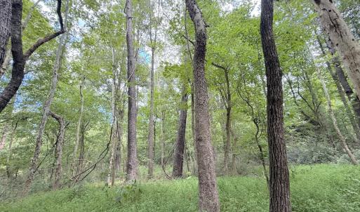 Photo #8 of Off of Laurel Ridge Road, Durham, NC 0.9 acres