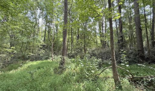 Photo #9 of Off of Laurel Ridge Road, Durham, NC 0.9 acres
