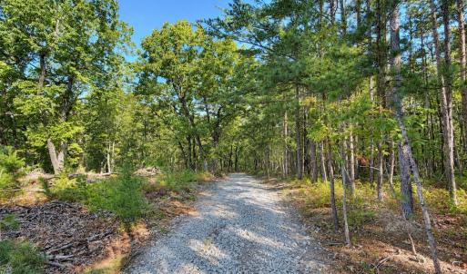 Photo #36 of Off of Timberland Trail, Huddleston, VA 64.3 acres