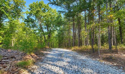 Photo #37 of Off of Timberland Trail, Huddleston, VA 64.3 acres