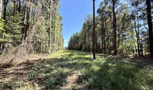 Photo #13 of 445 Morris BBQ Road, Hookerton, NC 16.5 acres