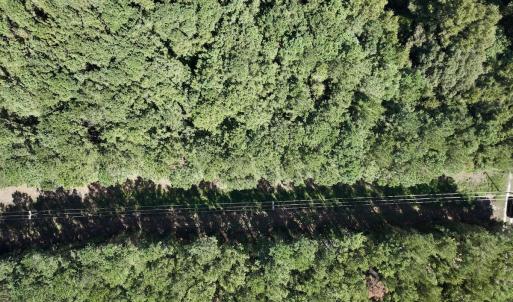Photo #16 of 445 Morris BBQ Road, Hookerton, NC 16.5 acres