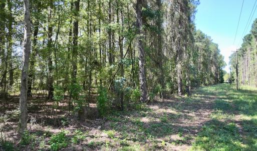 Photo #18 of 445 Morris BBQ Road, Hookerton, NC 16.5 acres