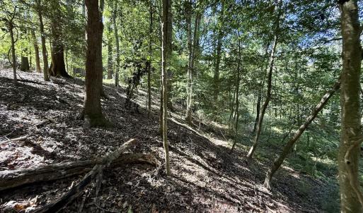 Photo #26 of 445 Morris BBQ Road, Hookerton, NC 16.5 acres