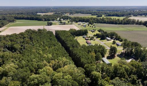 Photo #6 of 445 Morris BBQ Road, Hookerton, NC 16.5 acres