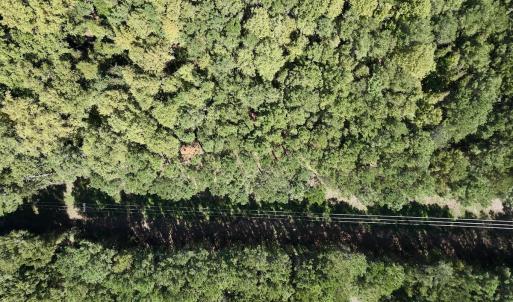 Photo #7 of 445 Morris BBQ Road, Hookerton, NC 16.5 acres