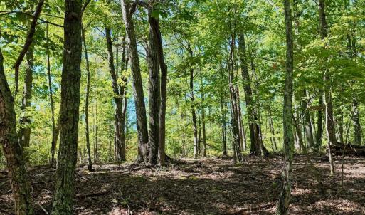 Photo #11 of Off of Brights Road, Pittsville, VA 30.4 acres