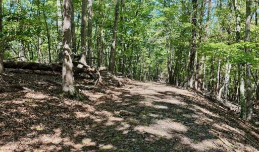 Photo #13 of Off of Brights Road, Pittsville, VA 30.4 acres