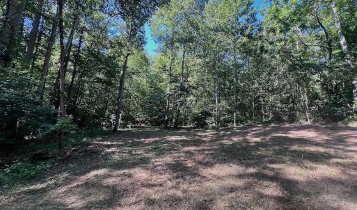 Photo #14 of Off of Brights Road, Pittsville, VA 30.4 acres