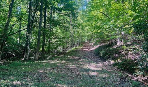 Photo #2 of Off of Brights Road, Pittsville, VA 30.4 acres
