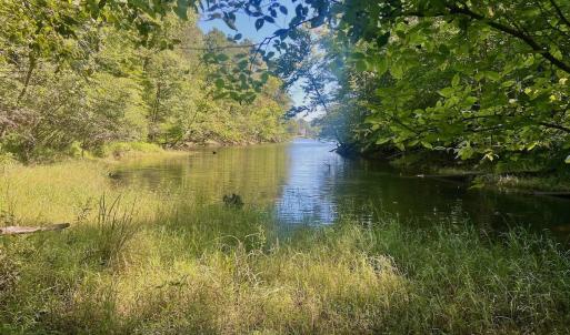 Photo #8 of Off of Brights Road, Pittsville, VA 30.4 acres