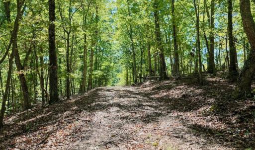 Photo #9 of Off of Brights Road, Pittsville, VA 30.4 acres